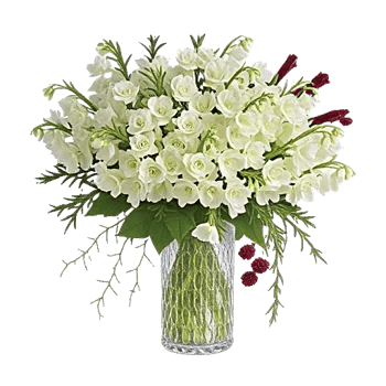Ivory Blossom Radiance