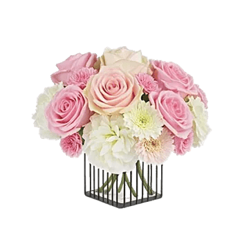 Petal Radiance Bliss