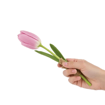 Velvet Tulip Display