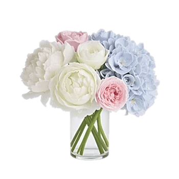 Petal Radiance Bliss