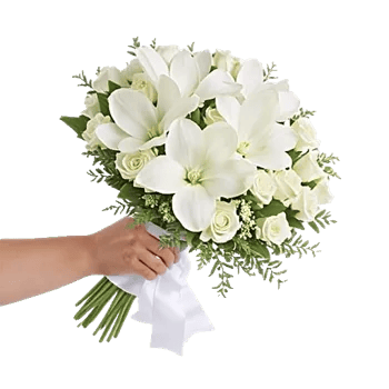 Minimalist White Orchids