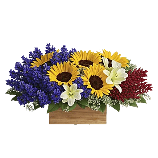 Radiant Bloom Cascade