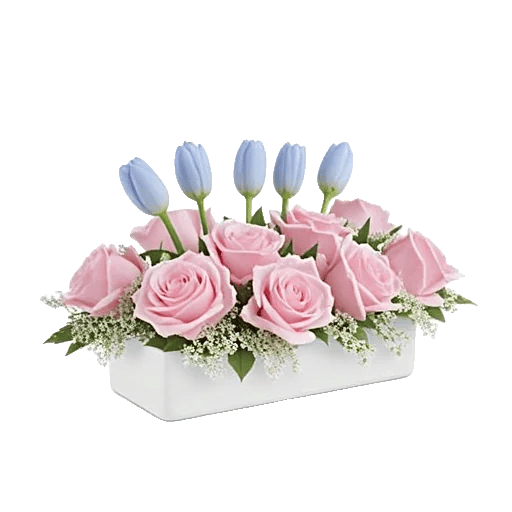 Blossom Petal Serenity