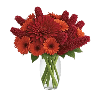 Crimson Blossom Harmony