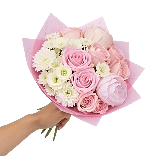 Pastel Pink Roses