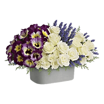 Delicate Petal Cascade