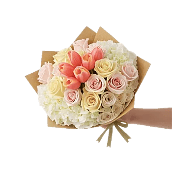 Blossom Harmony Display