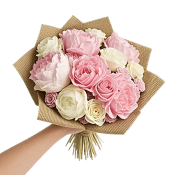 Pastel Pink Roses