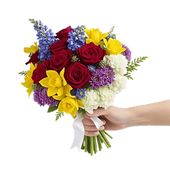 Blushing Rose Symphony