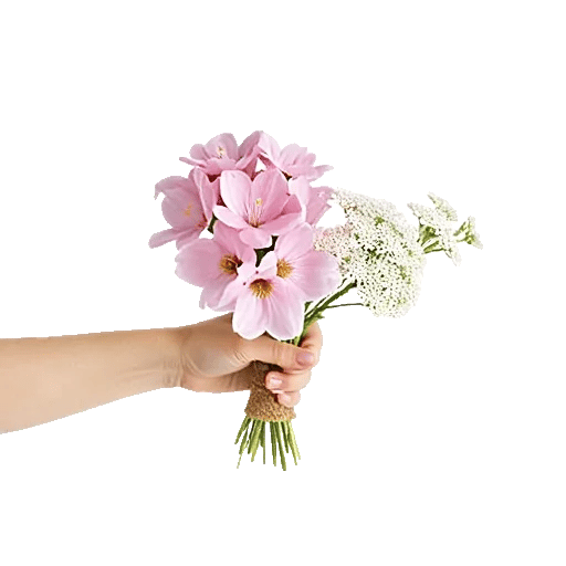 Blossom Breeze Harmony