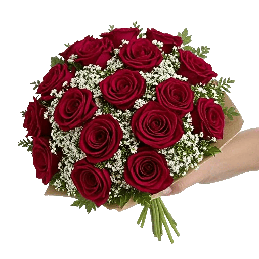 Crimson Rose Elegance