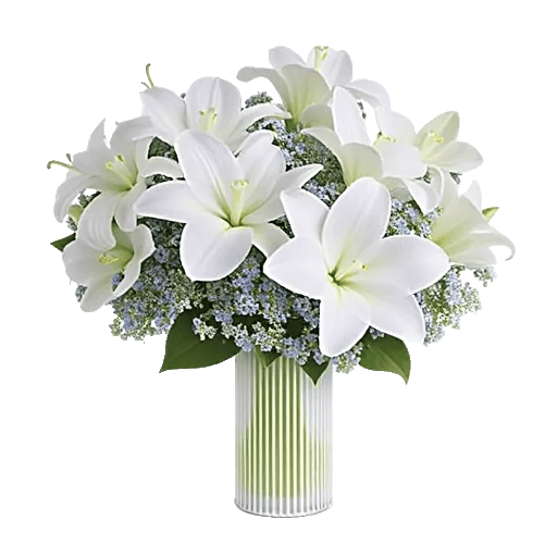 Minimalist White Orchids