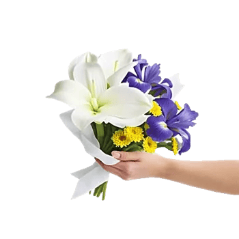 Elegant Calla Lilies