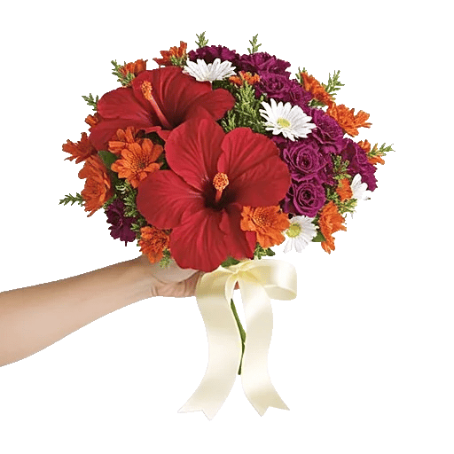 Crimson Rose Elegance