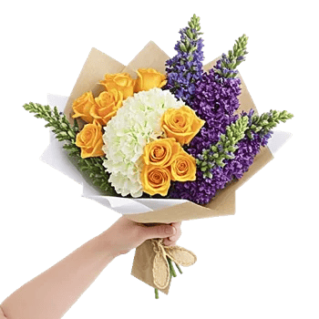 Petal Harmony Bliss