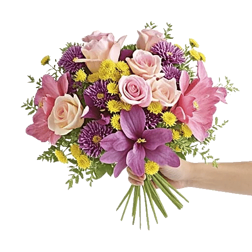 Petal Grace Harmony