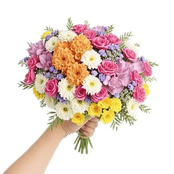 Petal Grace Harmony