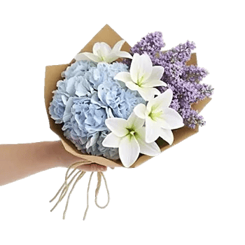 Serene Petal Harmony