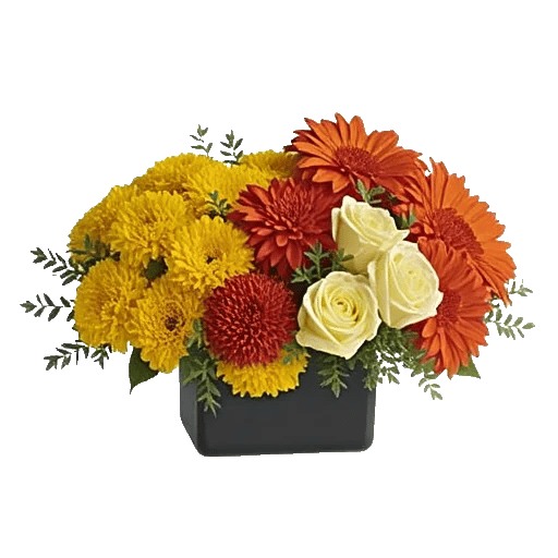 Golden Petal Harmony