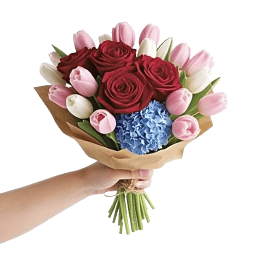 Crimson Rose Elegance