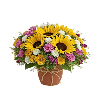 Amber Sunflower Glow