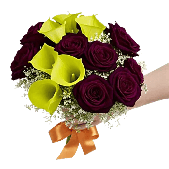 Elegant Calla Lilies