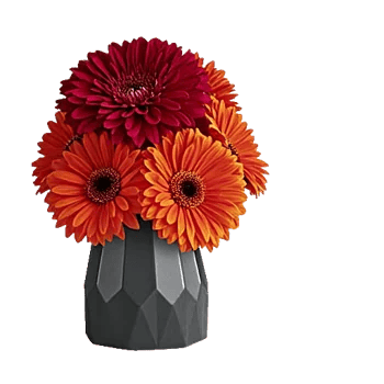 Deep Red Foliage