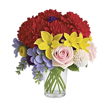 Petal Radiance Bliss