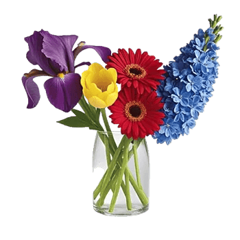 Ivory Blossom Radiance