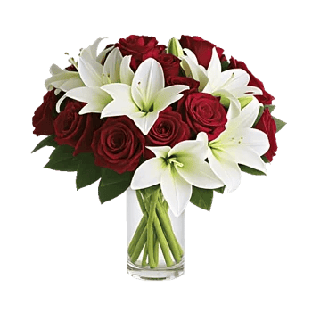 Crimson Rose Elegance