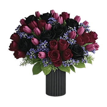 Velvet Tulip Display