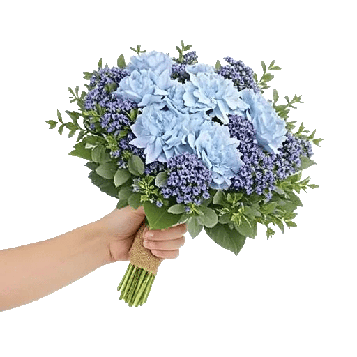 Sapphire Bloom Whisper