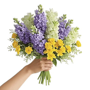 Blossom Harmony Display