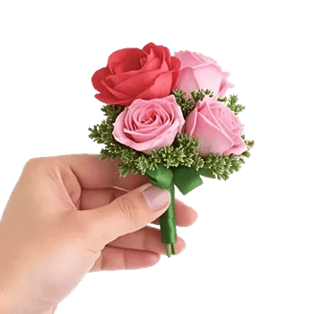 Coral Blossom Harmony