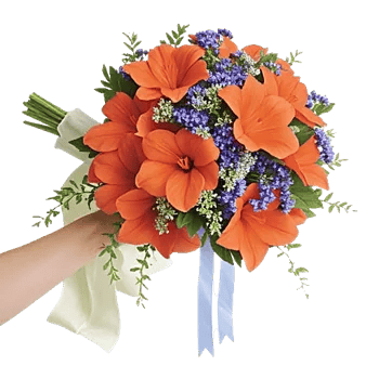 Ivory Blossom Radiance