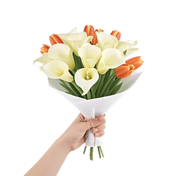 Elegant Calla Lilies