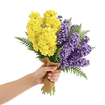 Blossom Harmony Display