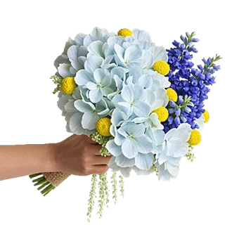 Sapphire Bloom Whisper