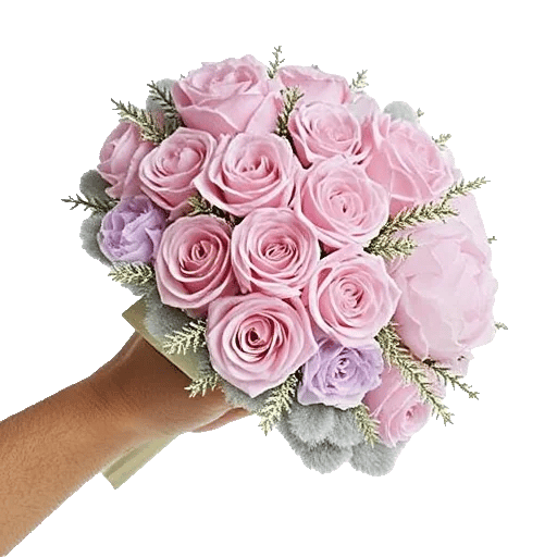 Pastel Pink Roses