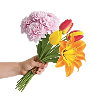 Blossom Harmony Display