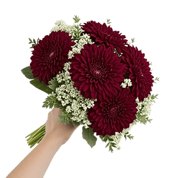 Deep Red Foliage