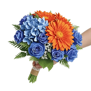 Blossom Petal Serenity