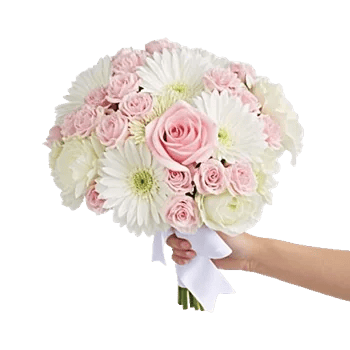 Pastel Pink Roses