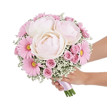 Peony Petal Harmony