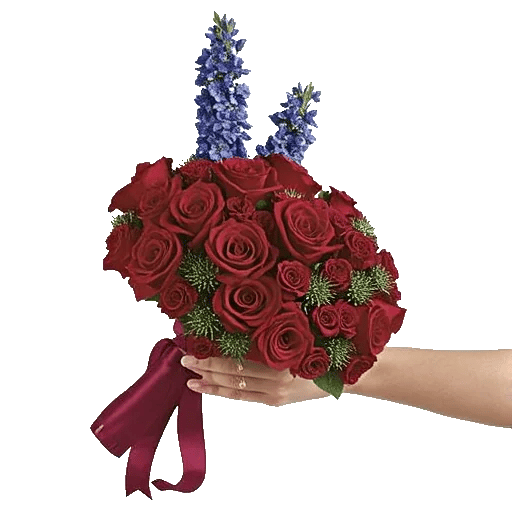 Blushing Rose Symphony
