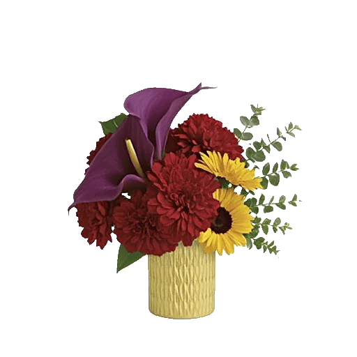Elegant Calla Lilies