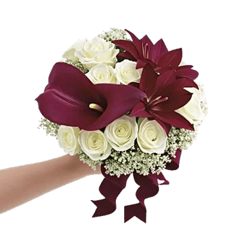 Elegant Calla Lilies