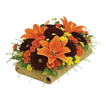 Radiant Bloom Cascade