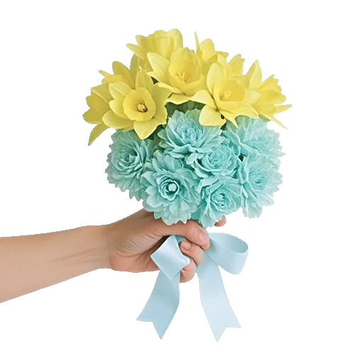 Soft Sunlight Blooms