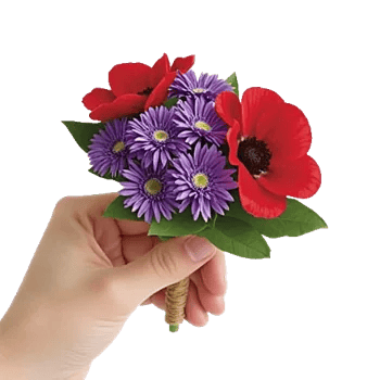 Coral Blossom Harmony